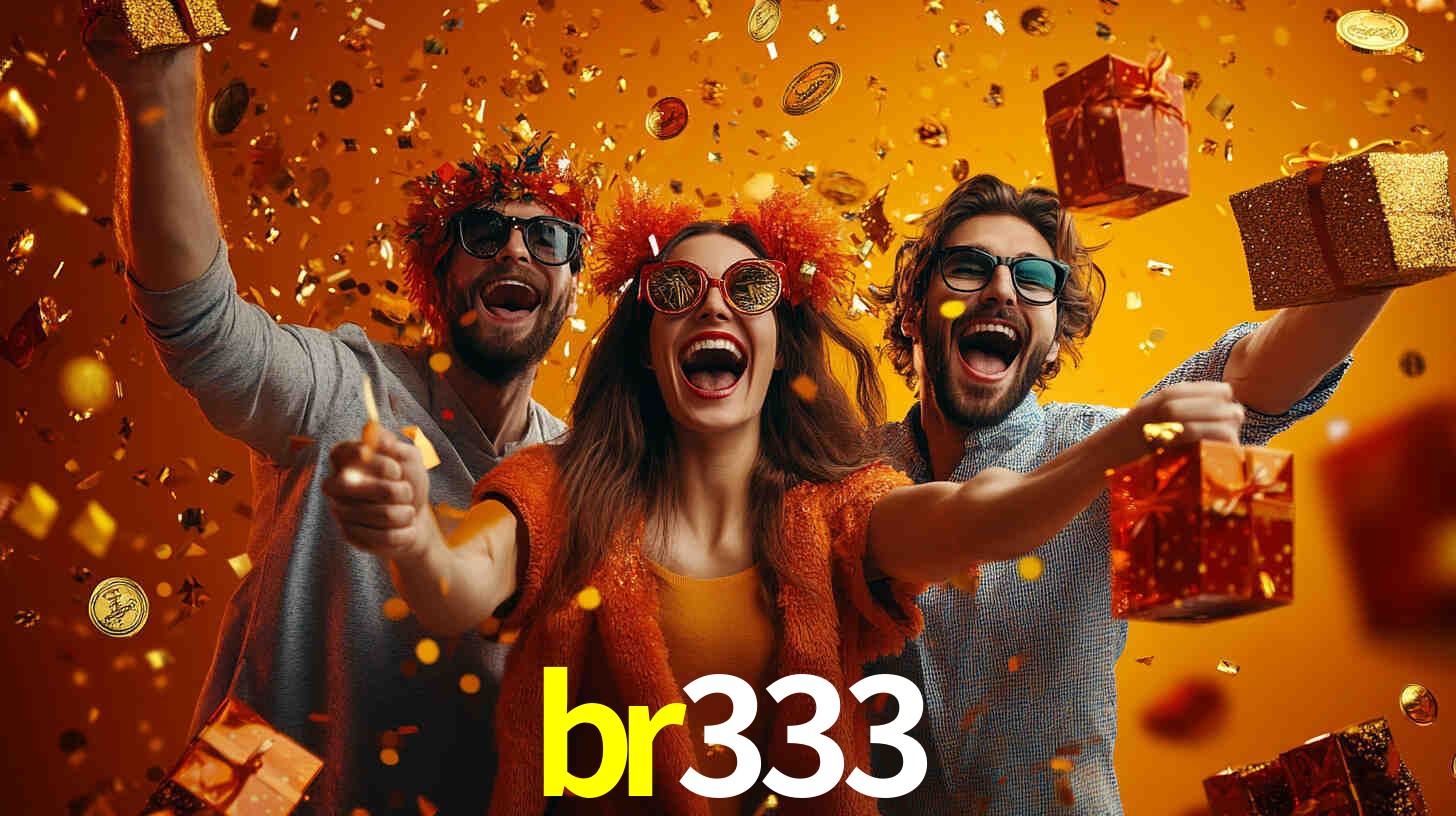 br333.com
