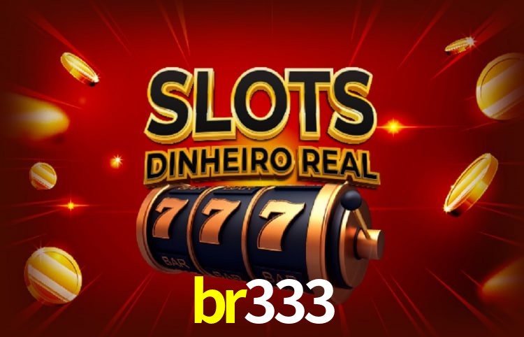 Sistemas de Segurança br333