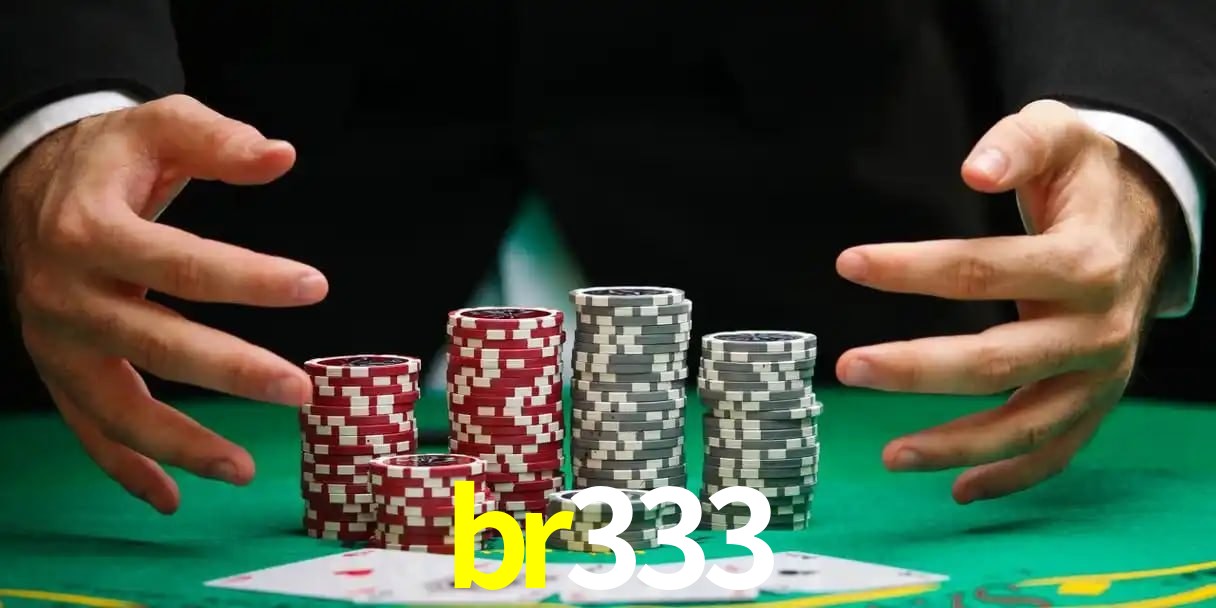 br333 Aplicativo - br333 visual 2